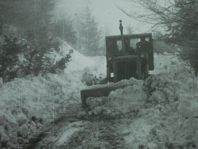 Bau der Zufahrtsstraße zum Leopold Figl-Observatorium am Mitterschöpfl, 1965