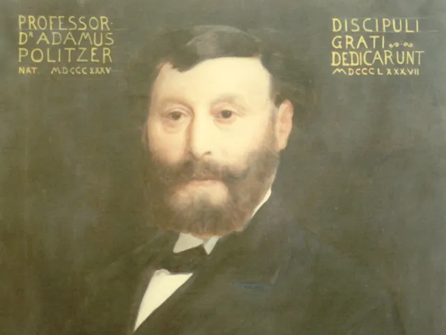 Adam Politzer (1835–1920), Ohrenheilkunde