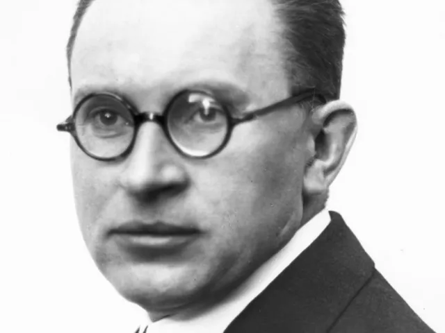 Julius Bauer (1887–1979), Innere Medizin