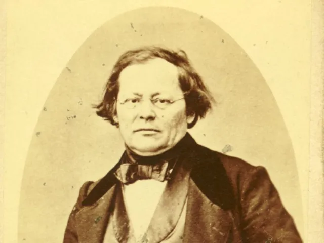 Joseph Skoda (1805–1881), Innere Medizin