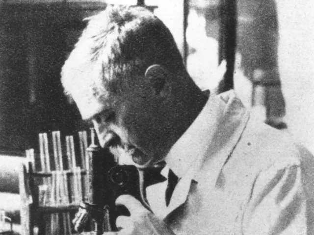 Karl Landsteiner (1868–1943), Immunologie, Pathologische Anatomie, Nobelpreis 1930