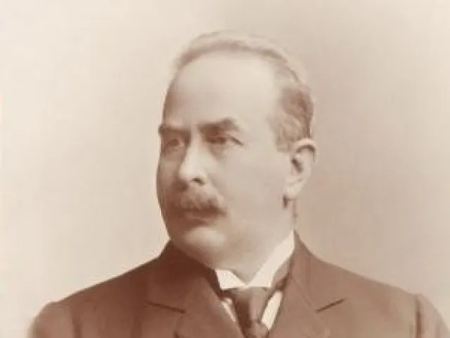 Guido Goldschmiedt (1850–1915), Chemie