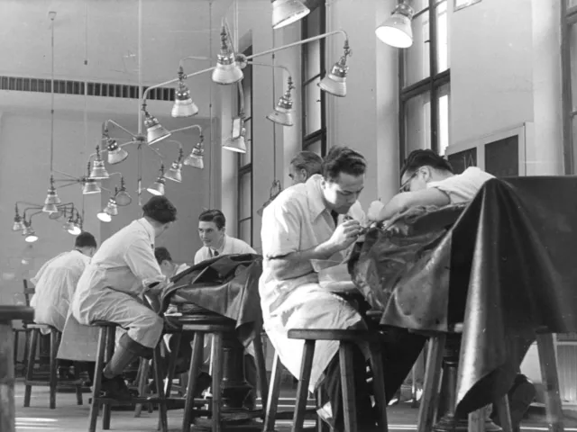 Institut für Anatomie: Sezierhörsaal mit Studenten bei der Arbeit