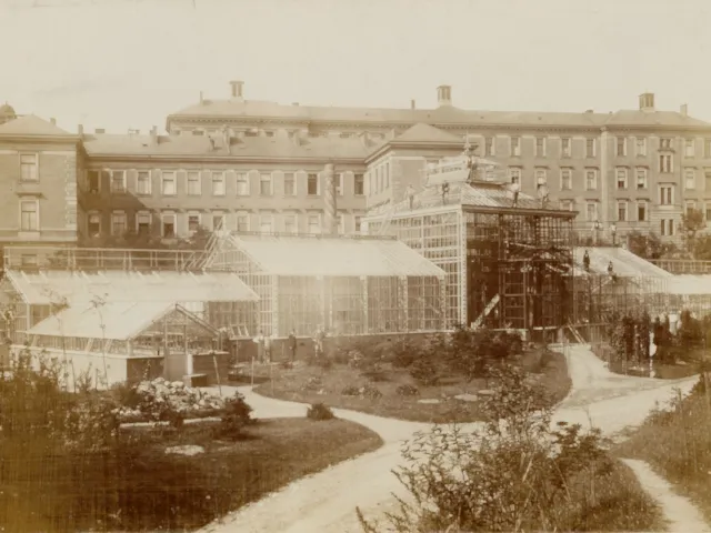 Der Botanische Garten der Karls-Universität in Prag