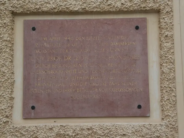 Leopold Schönbauer Gedenktafel, enthüllt am 29. Jänner 1981