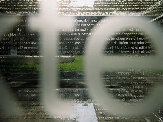 „Kontroverse Siegfriedskopf“, 2006