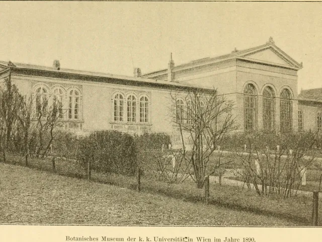 Botanisches Museum der k. k. Universität Wien im Botanischen Garten, 1890