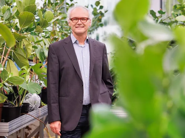 Ulrich Technau, Molekularbiologie