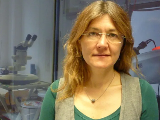 Kristina Djinovic-Carugo