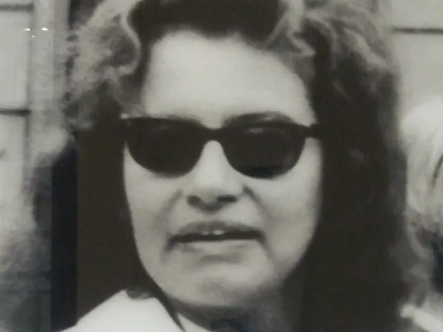 Erika Weinzierl (1925–2014), Zeitgeschichte