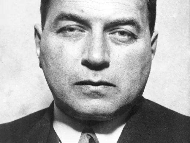 Friedrich Engel-Janósi