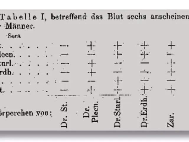 Tabelle aus Karl Landsteiners Über Agglutinationserscheinungen normalen menschlichen Blutes. Im Reagenzglas untersuchte er d…