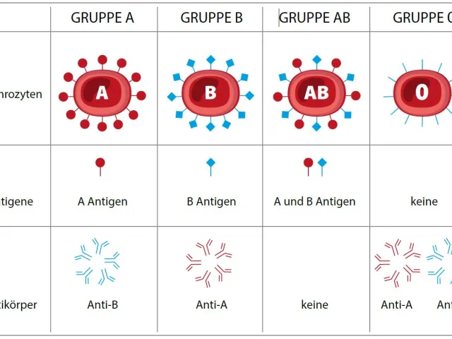 Die von Landsteiner entdeckten Blutgruppen, ihre Antigene auf der Oberfläche der roten Blutkörperchen und ihre Antikörper im…