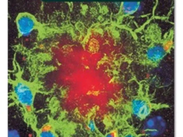 Eine rezente Anwendung der Spieltheorie auf komplexe biologische Prozesse durch den Mathematiker Martin Nowak (Universität H…