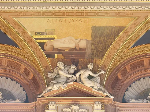 Zwickelbild „Anatomie“, Detailansicht des Deckengemäldes im großen Festsaal im Hauptgebäude der Universität Wien