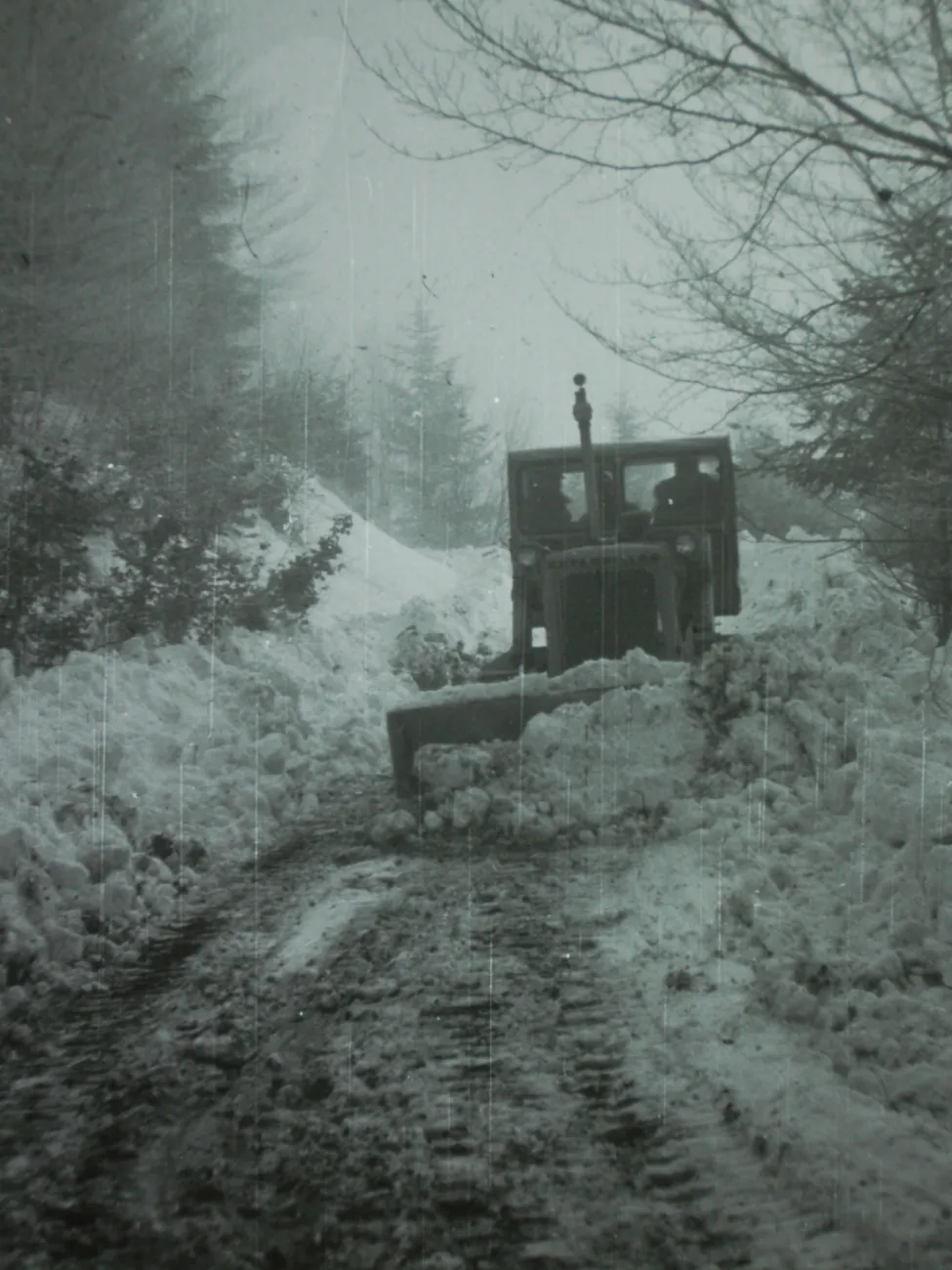 Bau der Zufahrtsstraße zum Leopold Figl-Observatorium am Mitterschöpfl, 1965
