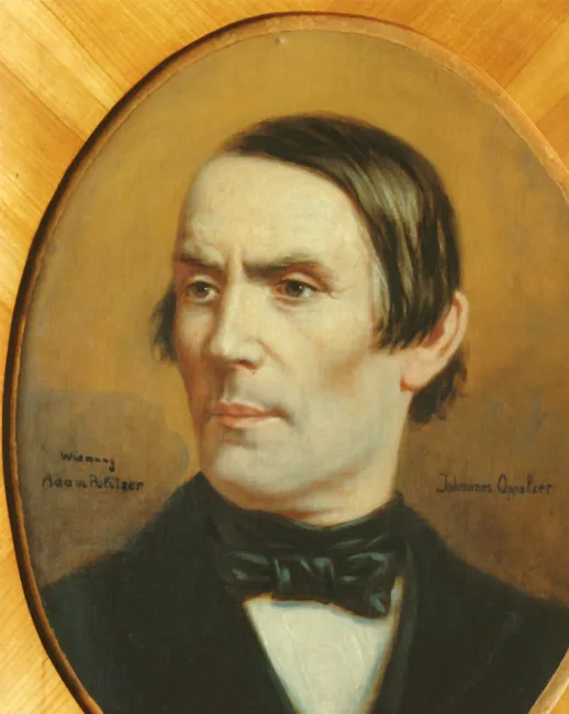 Johann Ritter von Oppolzer (1808–1871), Pathologie