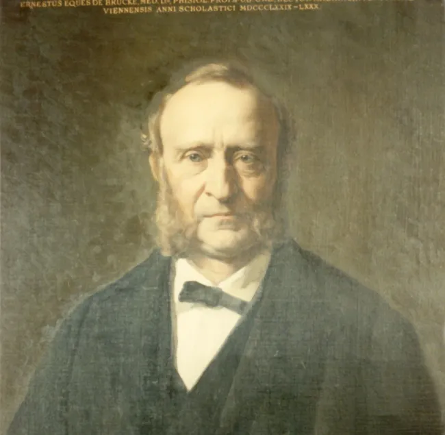 Ernst Wilhelm Ritter von Brücke (1819–1892), Physiologie, Anatomie, Rektor 1879/80