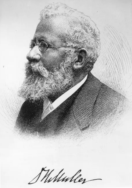 David Heinrich von Müller (1846–1912), Semitische Philologie und Sprachen