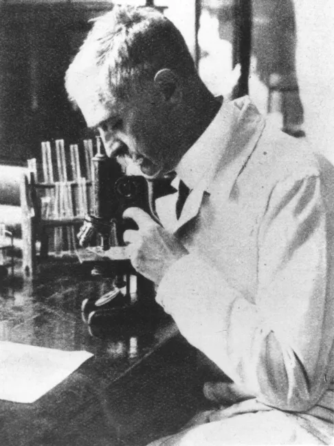 Karl Landsteiner (1868–1943), Immunologie, Pathologische Anatomie, Nobelpreis 1930