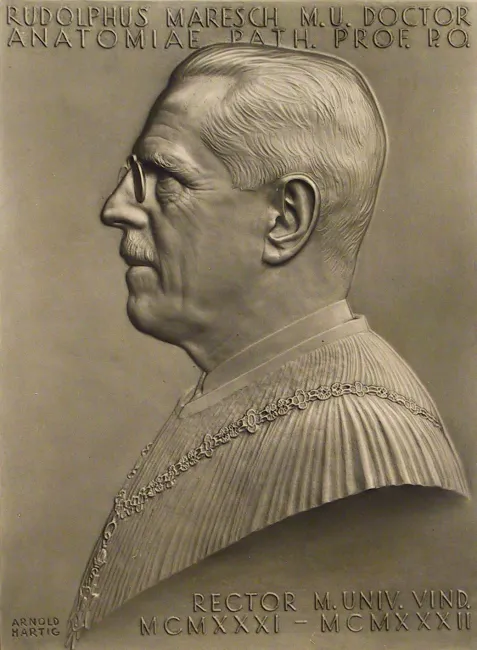 Relief von Rudolf Maresch (1868–1936), Pathologische Anatomie und Histologie, gestaltet von Arnold Hartig 1931/32