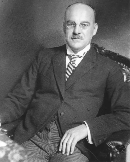 Heinrich Ritter von Srbik (1878–1951), Geschichte