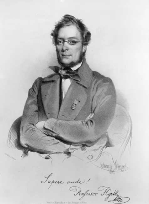 Josef Hyrtl (1810–1894), Anatomie