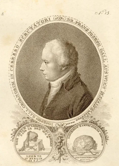 Franz Joseph Gall (1758–1828), Anatomie