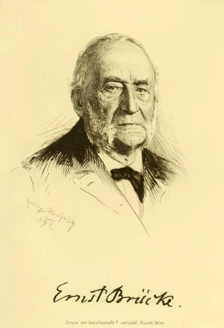 Ernst Wilhelm Ritter von Brücke (1819–1892), Physiologie, Anatomie, 1892