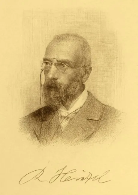 Richard Heinzel (1838–1905), Germanistik, Ältere deutsche Sprache und Literatur