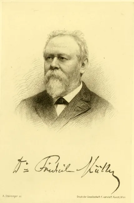 Friedrich Müller (1834–1898), Philologie, Sanskrit, Vergleichende Sprachwissenschaft