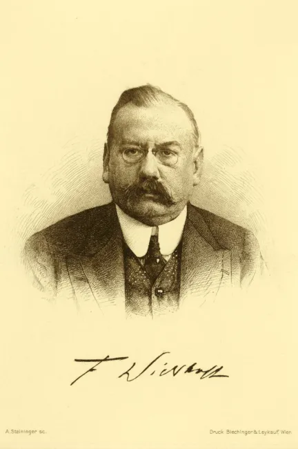 Franz Wickhoff (1853–1909), Kunstgeschichte