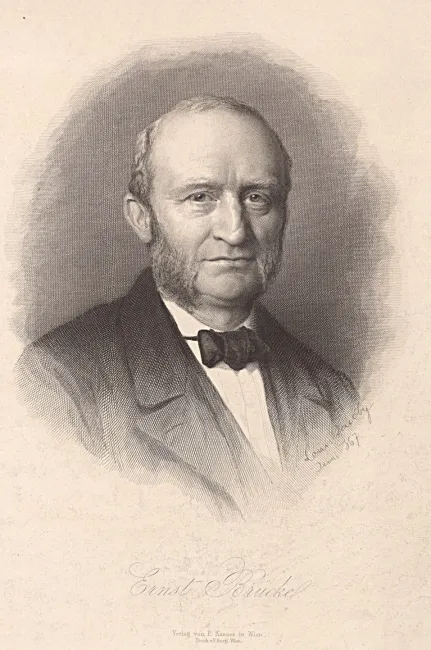 Ernst Wilhelm Ritter von Brücke (1819–1892), Physiologie, Anatomie, 1867