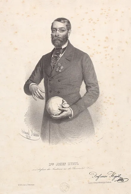 Josef Hyrtl (1810–1894), Anatomie