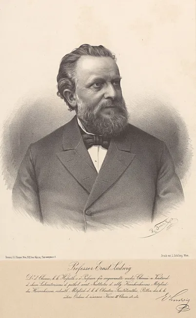 Ernst Ludwig (1842–1915), Chemie