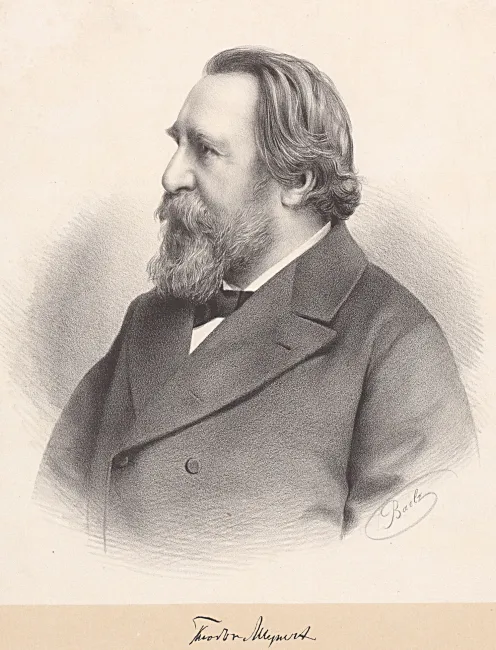 Theodor Meynert (1833–1892), Neurologie, Psychiatrie