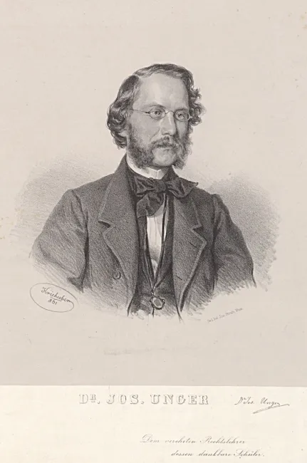 Joseph Unger (1828–1913), Bürgerliches Recht, Politiker