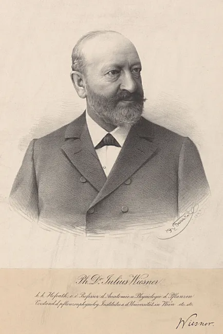 Julius von Wiesner (1838–1916), Botanik