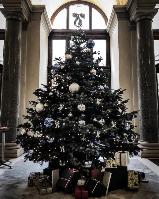 Weihnachtsbaum im Hauptgebäude der Universität Wien, Dezember 2018