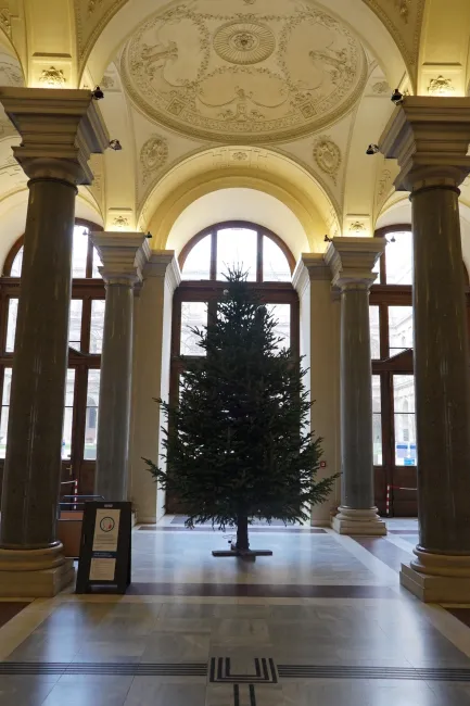 Weihnachtsbaum im Hauptgebäude der Universität Wien, 2020/21