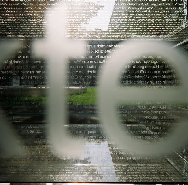 „Kontroverse Siegfriedskopf“, 2006