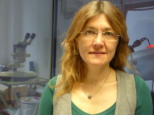 Kristina Djinovic-Carugo