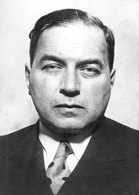 Friedrich Engel-Janósi