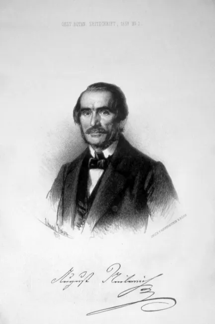 August Neilreich (1803–1871), Botanik