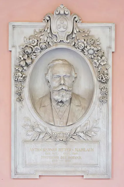 Denkmal für Anton Kerner von Marilaun (1831–1899) im Arkadenhof der Universität Wien, gestaltet von Edmund Hofmann v. Aspern…