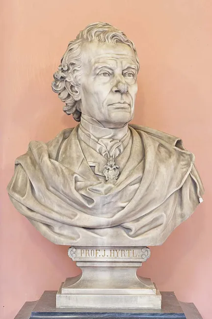 Denkmal für Josef Hyrtl im Arkadenhof der Universität Wien, gestaltet von Johann Kalmsteiner, enthüllt 1889