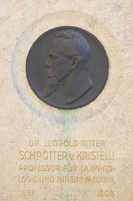 Denkmal für Leopold Schrötter von Kristelli (1837–1908) im Arkadenhof der Universität Wien, gestaltet von Kaspar v. Zumbusch…