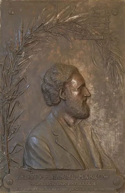 Denkmal für Ernst Fleischl von Marxow (1846–1891) im Arkadenhof der Universität Wien, gestaltet von Emil Fuchs, enthüllt 1898