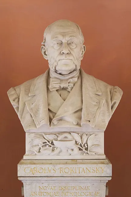 Denkmal für Carl Freiherr von Rokitansky im Arkadenhof der Universität Wien, gestaltet von Alexius von Swoboda, enthüllt 1898