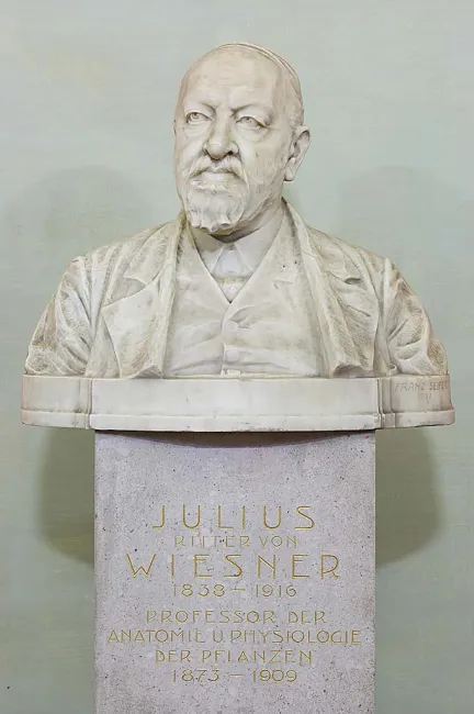Denkmal für Julius von Wiesner (1838–1916) im Arkadenhof der Universität Wien, gestaltet von Franz Seifert, enthüllt 1927